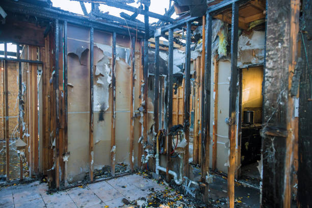 Professional Fire Damage Repair technician working in Edgewater, FL